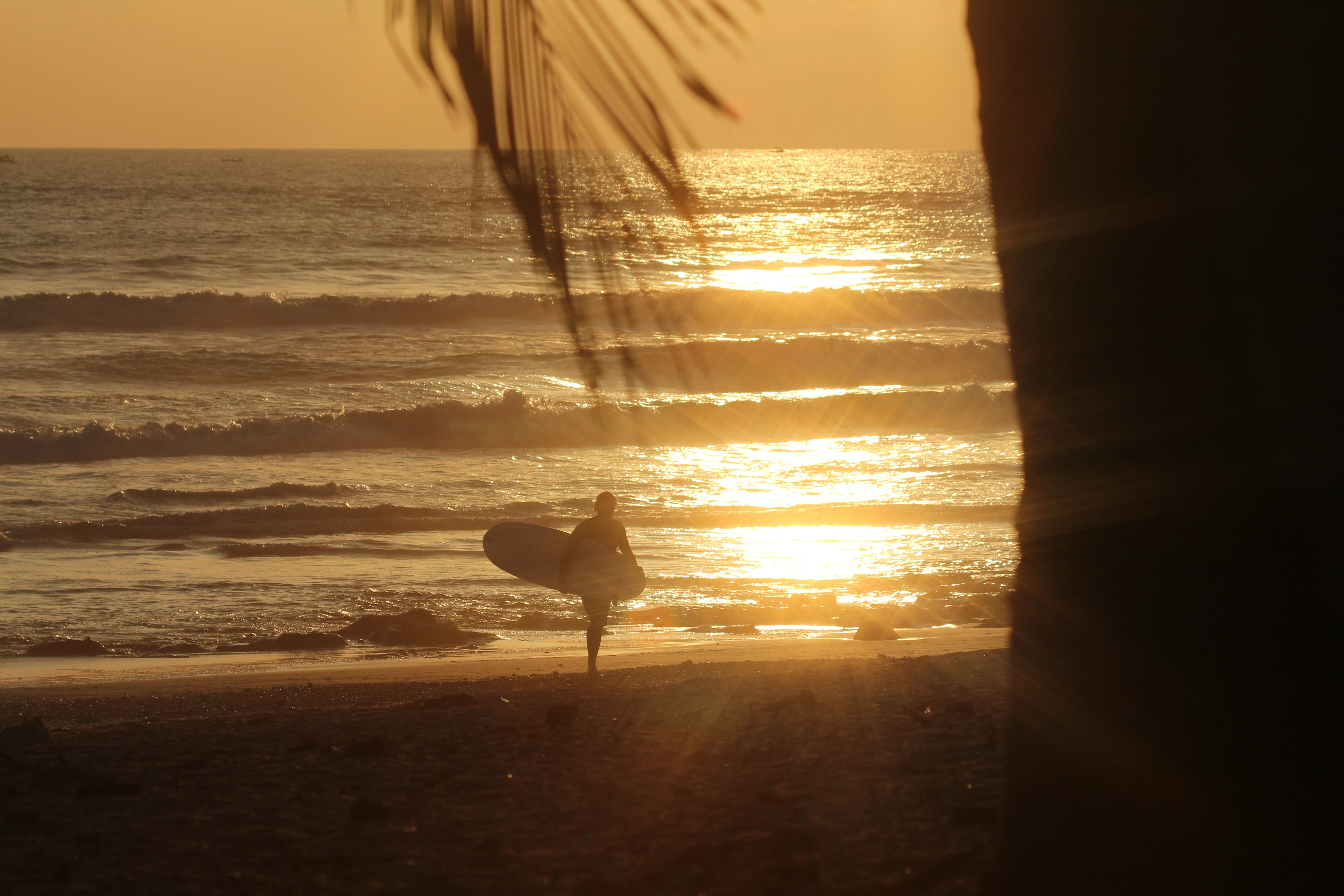 person carrying surfboard while walking on seashore during golden hour